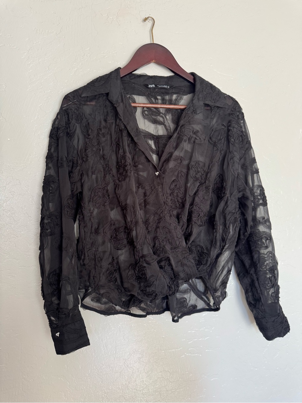 Zara Black Sheer Embroidered Button-Down Shirt